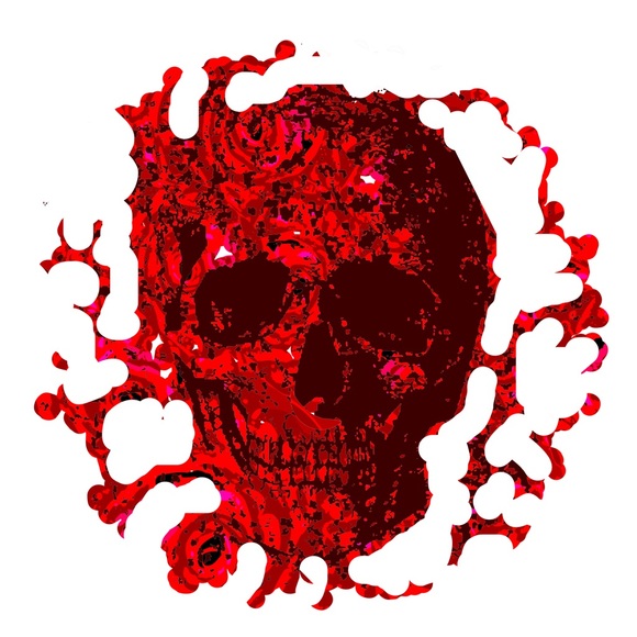 Meet your Posher, Daniel - Picture 2 of 16